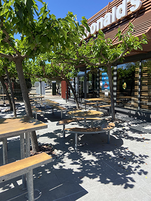 Photos terr Courbessacwebpage accueil.jpg